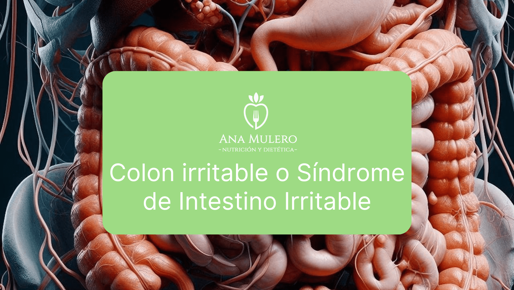 Colon irritable o Síndrome de Intestino Irritable - Ana Mulero Nutrición